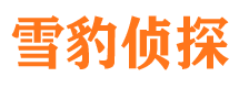 苏家屯市婚姻出轨调查